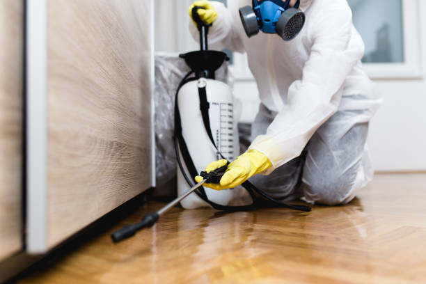 Best Pest Prevention Services  in Wildwood, MO