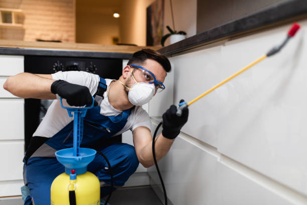 Best Cockroach Control Services  in Wildwood, MO