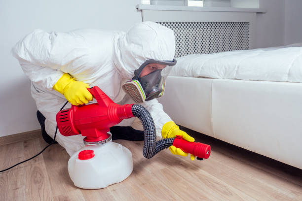Best Pest Prevention Services  in Wildwood, MO