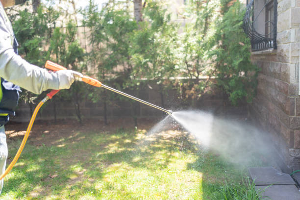 Best Insect Control  in Wildwood, MO