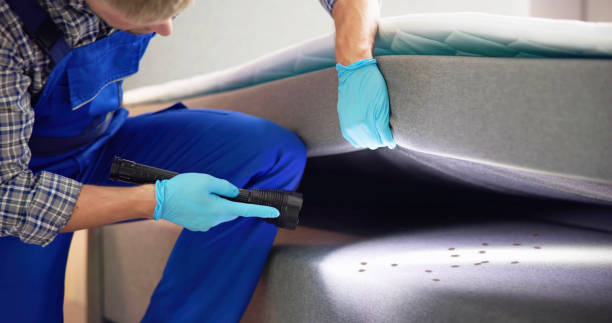 Best Bed Bug Extermination  in Wildwood, MO