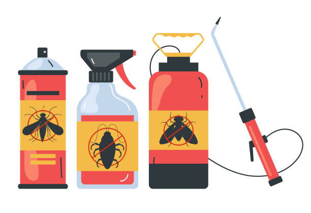 Best Wasp Removal Services  in Wildwood, MO