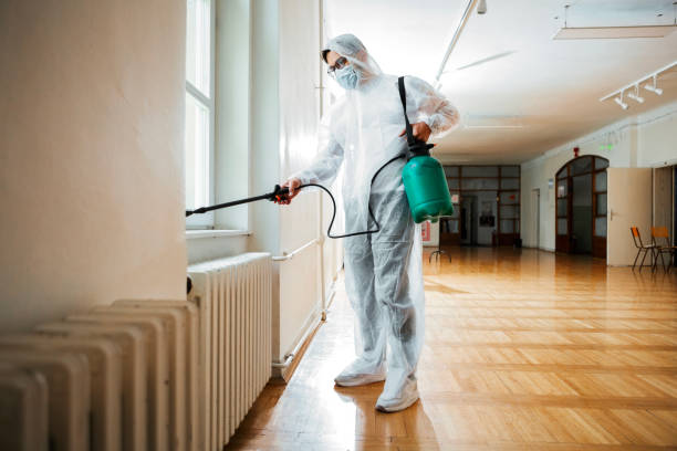 Best Best Pest Control Companies  in Wildwood, MO