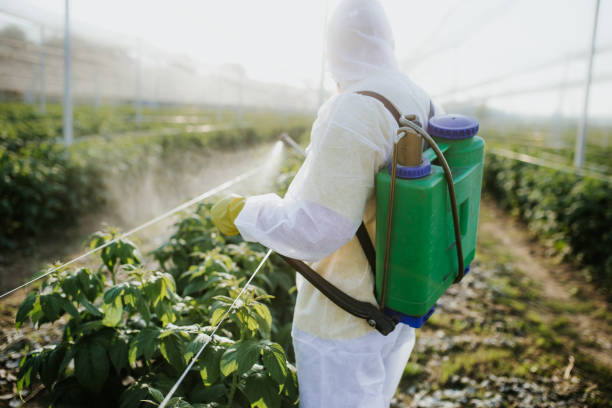 Best Flea Control Services  in Wildwood, MO